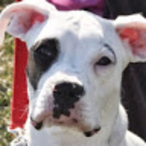 Meet your Posher, Lexington